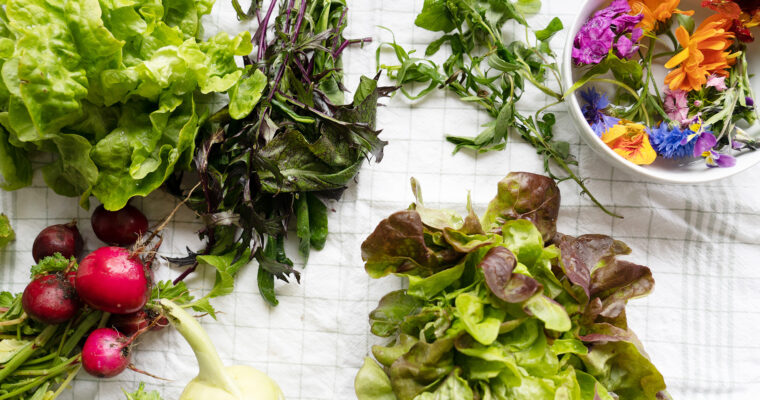 Ti veganske salater til sommer, piknik og grill