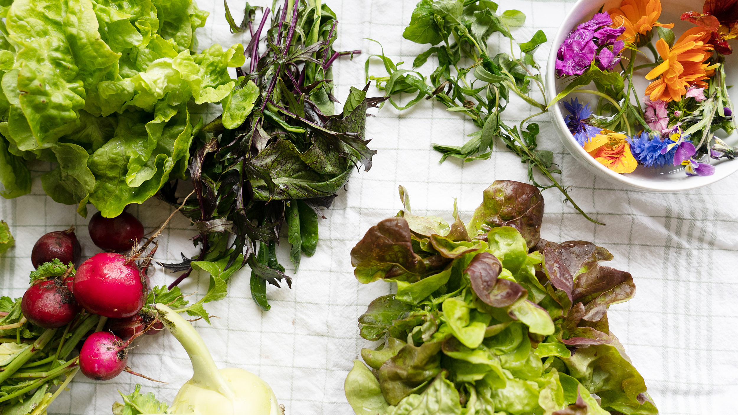 Ti veganske salater til sommer, piknik og grill
